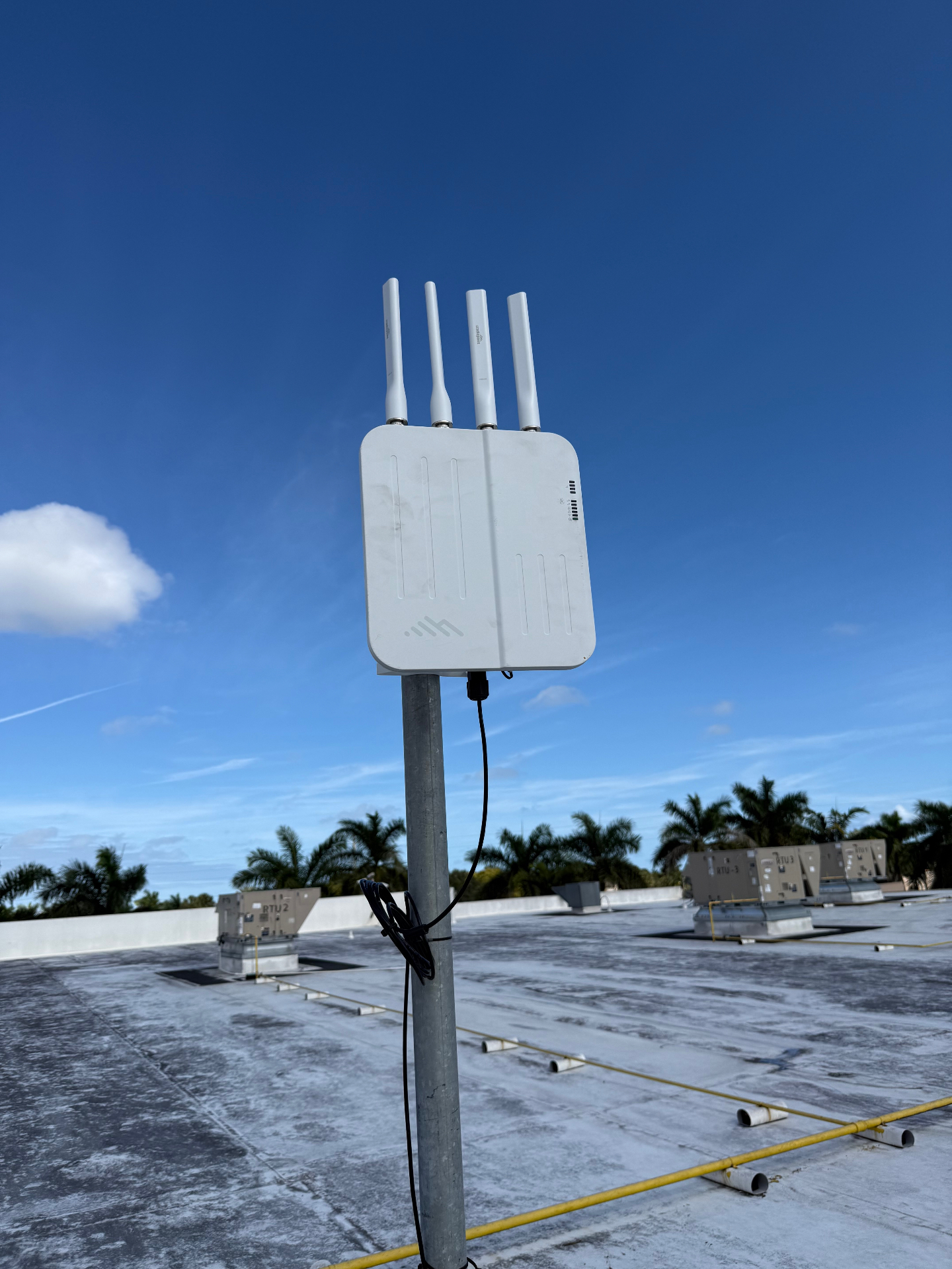 Rooftop wireless access point